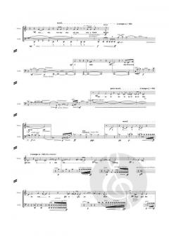 Withdrawal von Andreas Mehringer 