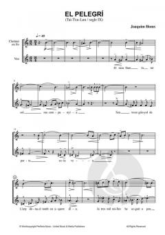 Antics poemes xinesos von Joaquim Homs 