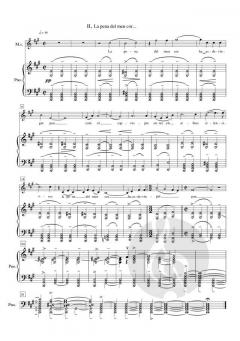 Ocells perduts: 10 Poemes de R. Tagore von Joaquim Homs 