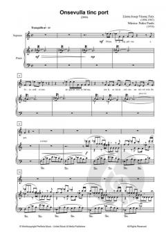 Onsevulla tinc port von Pedro Pardo 