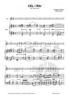 Cel i riu von Joaquim Homs 