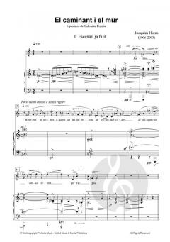 El Caminant i el Mur von Joaquim Homs 