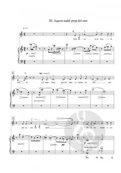 El Caminant i el Mur von Joaquim Homs 