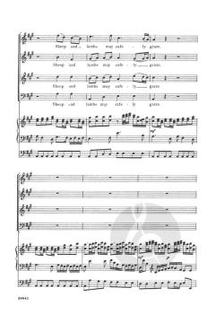 Sheep And Lambs May Safely Graze (J.S. Bach) 