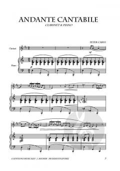 Andante Cantabile von Peter Cabus 