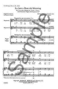 Lo How A Rose E'Er Blooming (Michael Praetorius) 