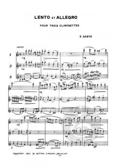 Lento e Allegro von Eugène Saeys 