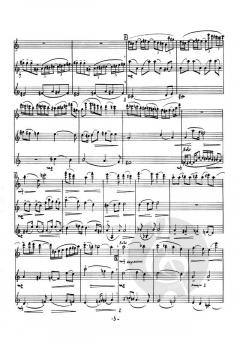 Lento e Allegro von Eugène Saeys 