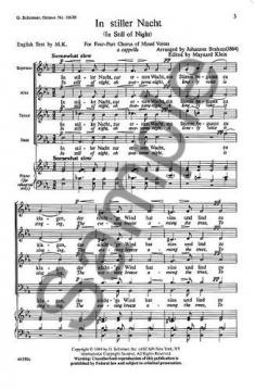 In stiller Nacht (Johannes Brahms) 