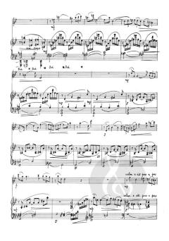 Andante e Perpetuo Mobile von Franz Wigy 