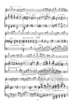 Sonate von Peter Cabus 