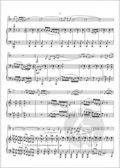 Sonata von Ken Henkel 