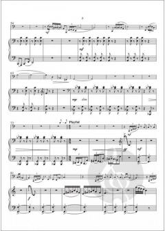 Sonata von Ken Henkel 