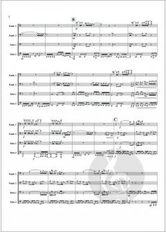 Tuba Funk von Peter Rauch im Alle Noten Shop kaufen