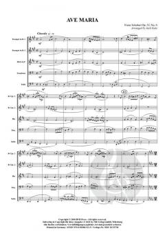 Ave Maria von Franz Schubert 