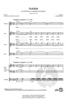 Hubble von Amelia Brey 