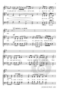 A Bundle of Straw von James C. Ward 