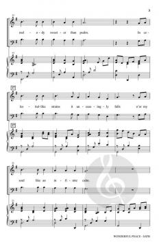 Wonderful Peace von William G. Cooper 