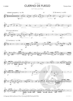 Cuerno de Fuego von Thomas Doss 