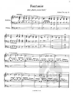 Fantasie über 'Harre, meine Seele' von Adam Ore 