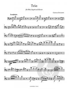 Trio für Flöte, Fagott und Klavier von Gaetano Donizetti 