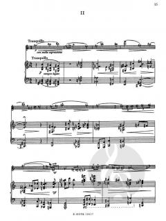 1. Sonate für Violine und Klavier (1913) von Erwin Schulhoff im Alle Noten Shop kaufen