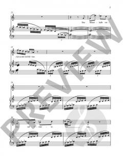 Das ästhetische Wiesel von Anno Schreier 