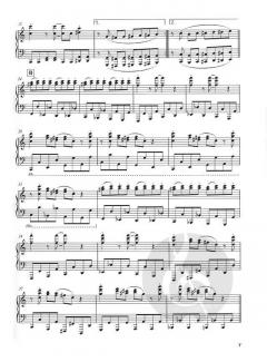 Boogie & Blues Piano Collection von Wolfgang Wierzyk 