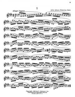 Advanced Studies For Clarinet von Victor Polatschek 