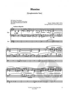 Blumine von Gustav Mahler 