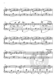 24 Piano Works - Opp. 1 - 27 von Marco Sollini 