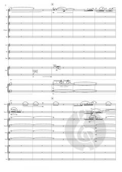 Feather Music von Britta Byström 