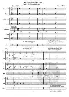 3 Love Letters From The Field 