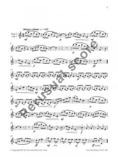 14 Studies in Duet Form von James Rae 