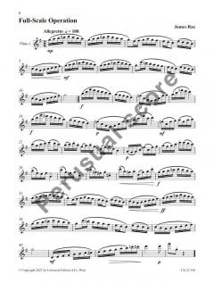 14 Studies in Duet Form von James Rae 