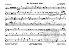 In die weite Welt von Gustav Gnauck 