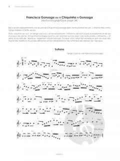 Promenades brésiliennes 2 