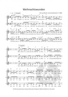 Weihnachtswunden von Joshua Bredemeier 