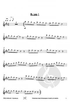 12 mal Blues von Josef Schlotter 