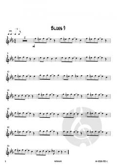 12 mal Blues von Josef Schlotter 