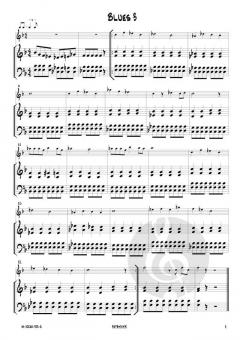 12 mal Blues von Josef Schlotter 