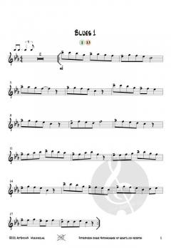 12 mal Blues von Josef Schlotter 