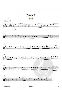 12 mal Blues von Josef Schlotter 