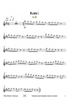 12 mal Blues von Josef Schlotter 