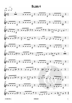 12 mal Blues von Josef Schlotter 