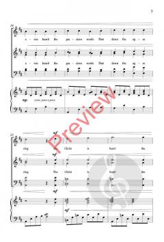 Shepherd's Carol von Michael John Trotta 