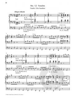 Der Karneval der Tiere von Camille Saint-Saëns 