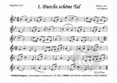 Durchs schöne Tal von Karl Bogner 