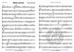 Bierle in da Sun von Oimara 