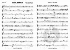 Bierle in da Sun von Oimara 